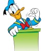 Donald Duck, from Grand Rapids MI