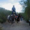 Tom Watson, from White Mountain Lake AZ