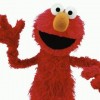 Elmo Sesame, from New York NY