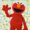 Elmo Sesame, from Wilson NC