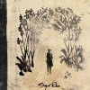 Sigur Ros, from North Myrtle Beach SC