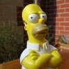 Homer Simpson, from Springfield NC