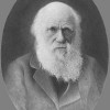 Charles Darwin, from Southfield MI