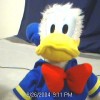 Donald Duck, from Winter Park FL