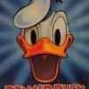 Donald Duck, from Bluffton IN