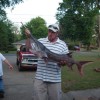 Bill Byrd, from Camden AR