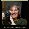 Jill Haddad, from East Peoria IL