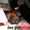 Lucy Lu, from East Moriches NY