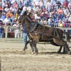 Roy Bean, from Tucumcari NM