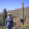 Sue Harbin, from Apache Junction AZ