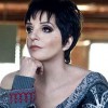 Liza Minnelli, from New York NY