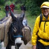 Bill Swanson, from Western Springs IL