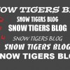 Snow Tiger, from Schenectady NY