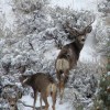 Todd Lowry, from Carlin NV