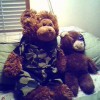 Teddy Bear, from Woodstock IL