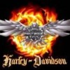 Harley Davidson, from Belmond IA