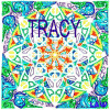 Tracy Adams, from Saint Paul MN
