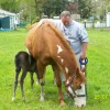 Larry Staton, from Salem NJ