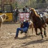 Todd Benson, from Albuquerque NM