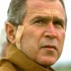 George Bush, from New York NY