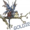 goldie cox