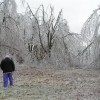 Gail Wright, from Republic MO