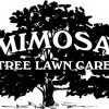 Mimosa Lawn, from Buffalo NY
