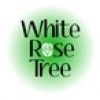 White Tree, from Hampshire IL