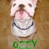 Ozzy Keifer, from York PA