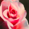 marie rose