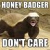 Honey Badger, from Blacksburg VA