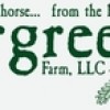 Evergreen Farm, from Berryville VA
