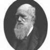 Charles Darwin, from Buford GA