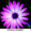 Donna Warren, from Houston TX