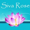 Siva Rose, from New York NY