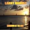 Larry Harvey, from Boston MA