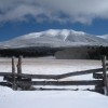 Neil Chapman, from Flagstaff AZ