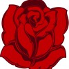rose thorn