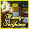 Honey Bee, from Gatlinburg TN
