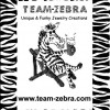 Team Zebra, from South Elgin IL