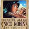 Nico Robin, from New York NY