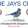 Blue Chatter, from Toronto ON