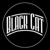 Black Cat, from Washington DC