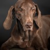 Bruce Lyon, from Lakeland FL