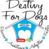 Destiny Dogs, from West Palm Beach FL