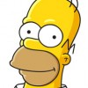 Homer Simpson, from Springfield IL