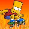 Bart Simpson, from Springfield IL