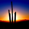 Steve Upton, from Phoenix AZ