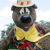 Humphrey Bear, from Yellowknife NT