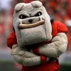Hairy Dawg, from Athens GA